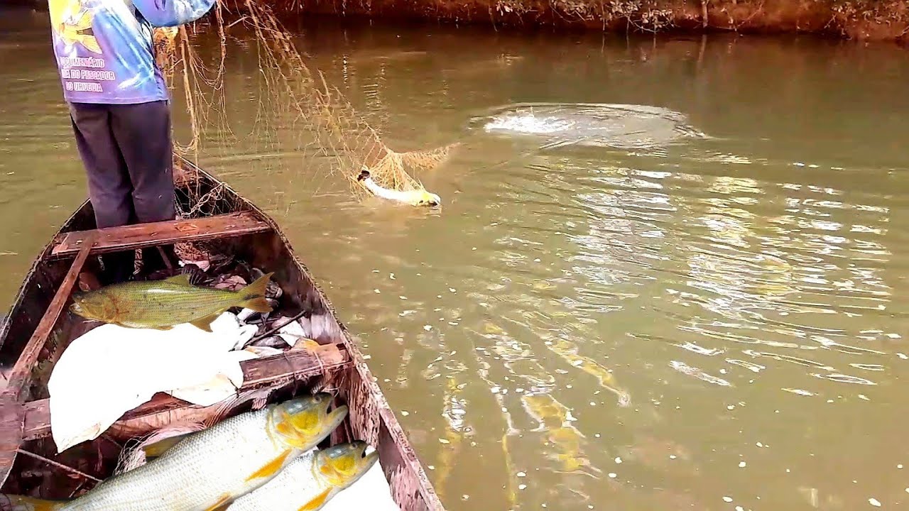 Canoa Lotada de Peixes+Pescaria na cabeceira do Urucuia +A maior aventura 2024