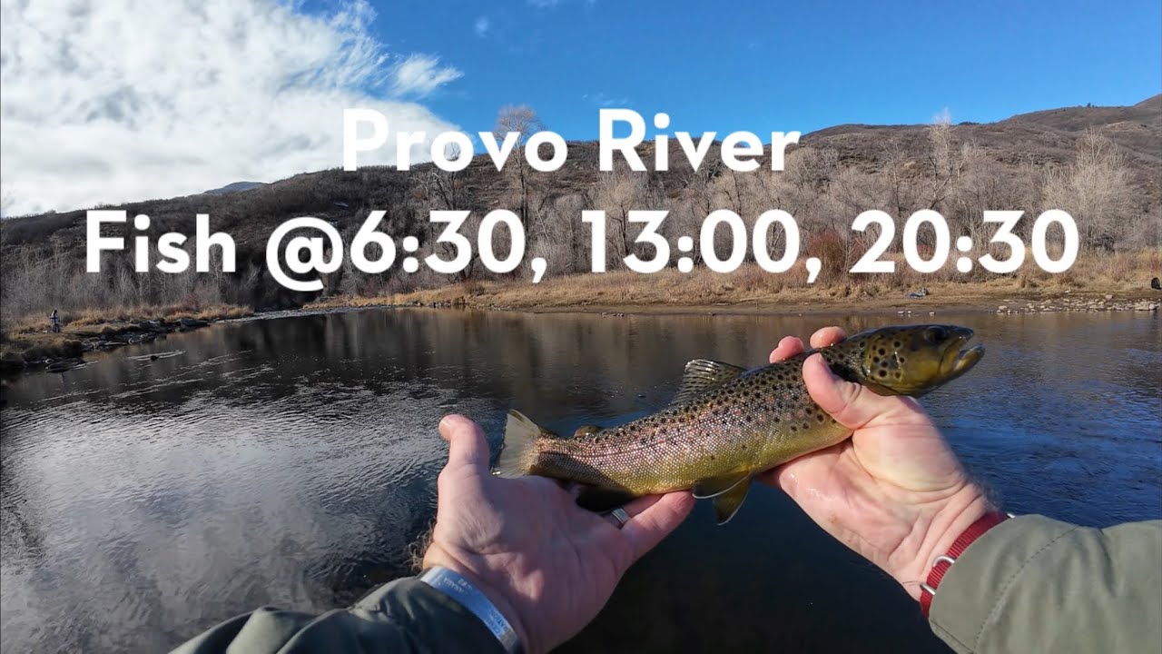 Provo River Fishing - HD Trout and Jigs