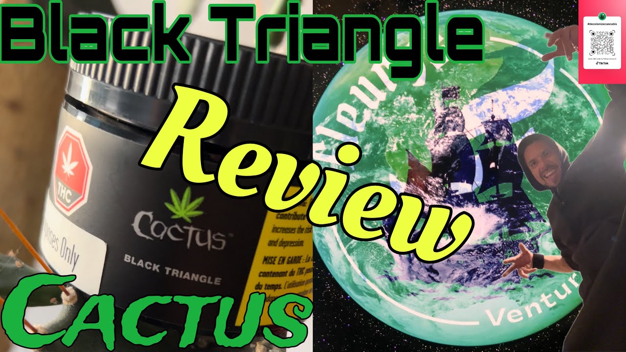 Black Triangle By Cactus | Indica Hybrid | Terpenes Targeting Stress And Depression | #manitoba