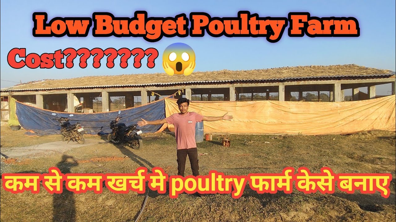 Kam kharch mai poultry farm banaye || Mera Naya Farm banna start ho gya 🙂||@ruralboy005 #chickenfarm