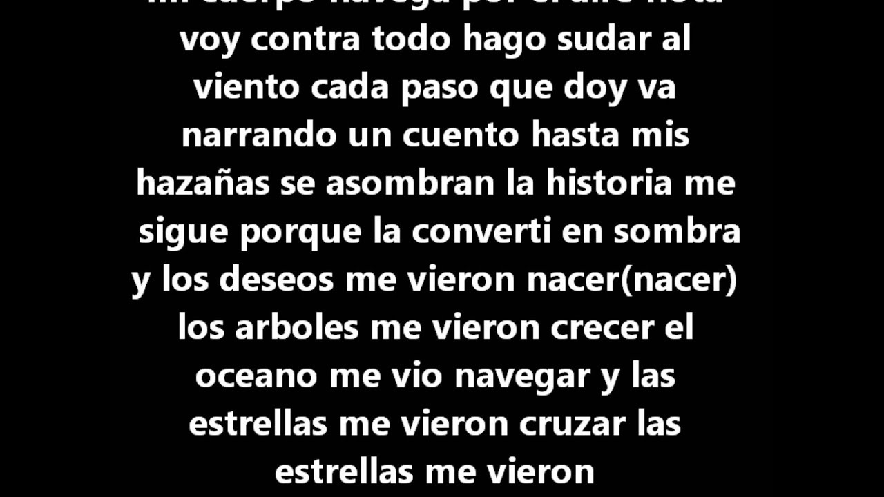 Me Vieron Cruzar Calle13