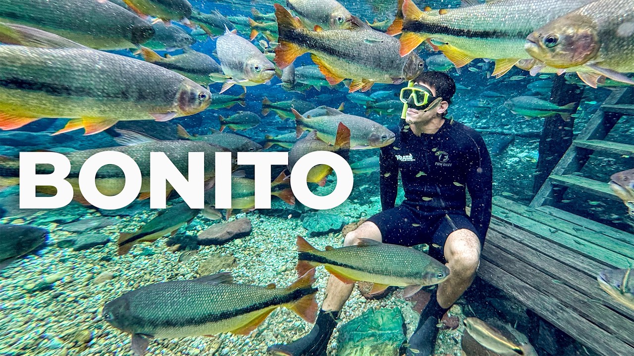 ROTEIRO COMPLETO DE BONITO com preços: o paraíso de Mato Grosso do Sul