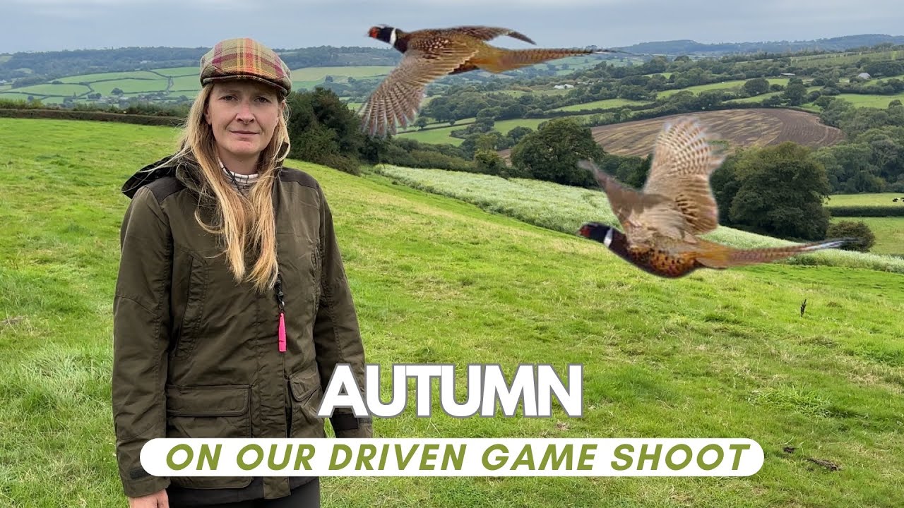 Autumn on our game shoot. Behind the scenes of a pheasant / partridge & duck shoot before the season