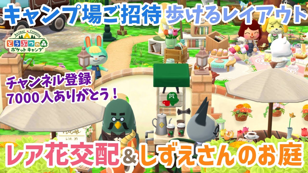 【ポケ森】キャンプ場ご招待＆レア花交配企画！チャンネル登録7000人ありがとうございます！【どうぶつの森ポケットキャンプ】