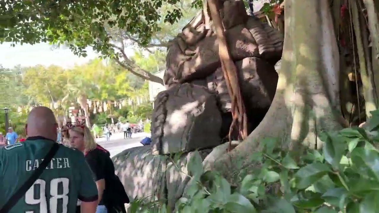 DINOLAND USA  20251226 20260106 WDW 04