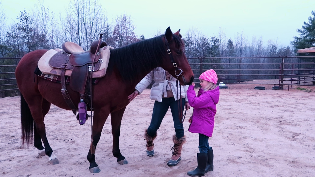SKYLYNN'S FIRST HORSE!