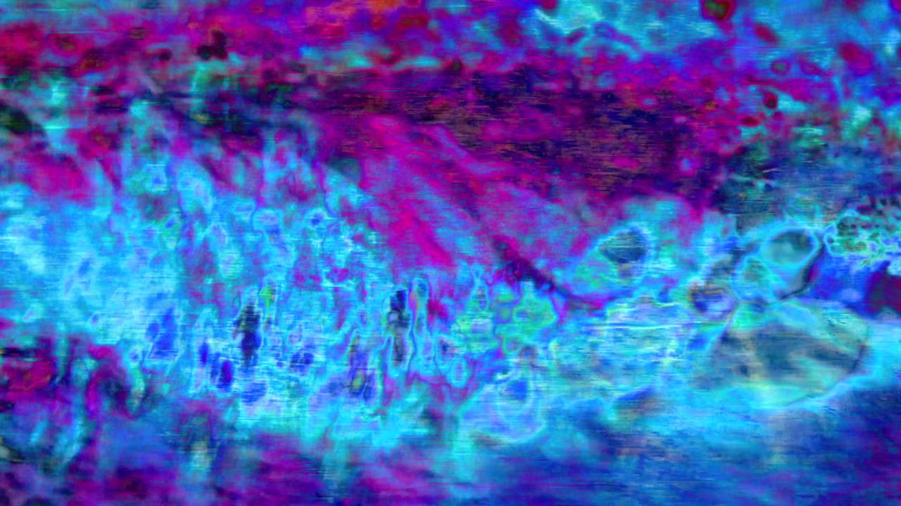 Katie Dey - Fleas (Official Music Video)