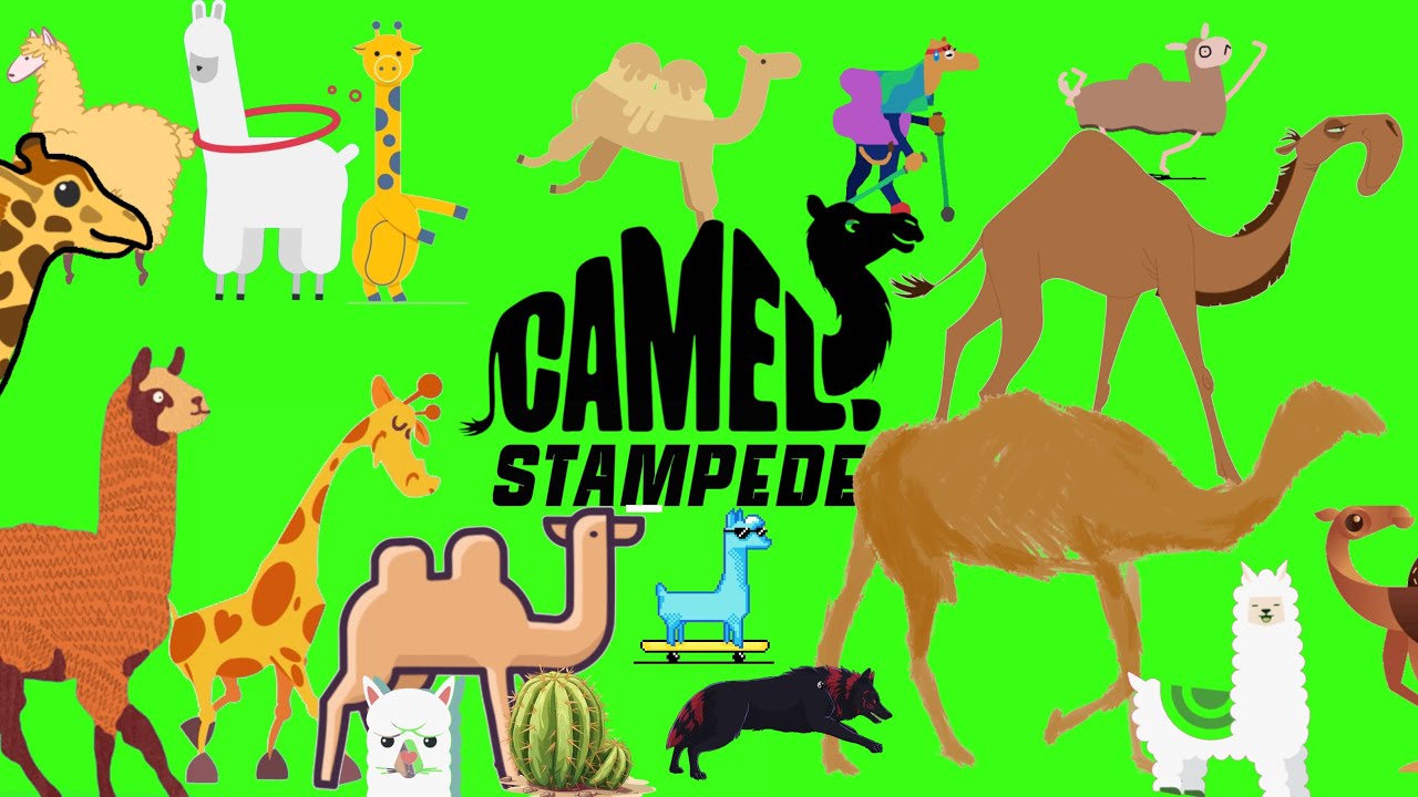 animal stampede - 9 | camel stampede green screen | giraffe version | camel run | Lama