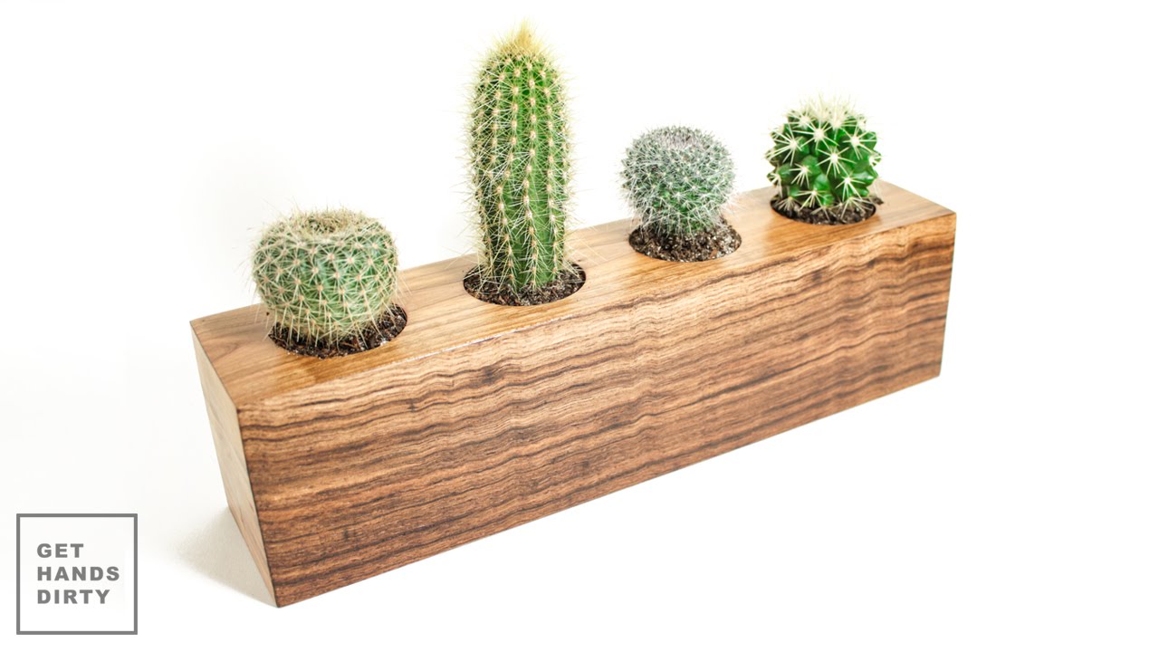 Cactus Planter // Vaso para Catos