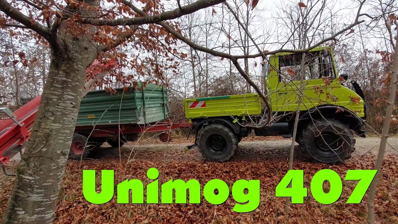 Unimog 407  Holzschneiden mit Vogesenblitz Trommelsäge und Abfahrt mit Unimogs und Eicher 2025