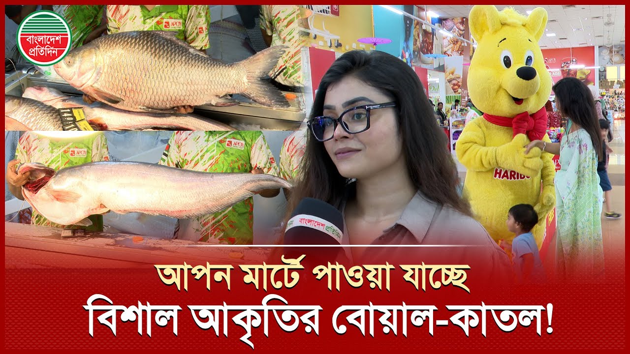 বিশাল আকৃতির বোয়াল আর কাতল মাছ কিনতে বসুন্ধরার আপন মার্টে ক্রেতাদের ভিড় | Apon Family Mart