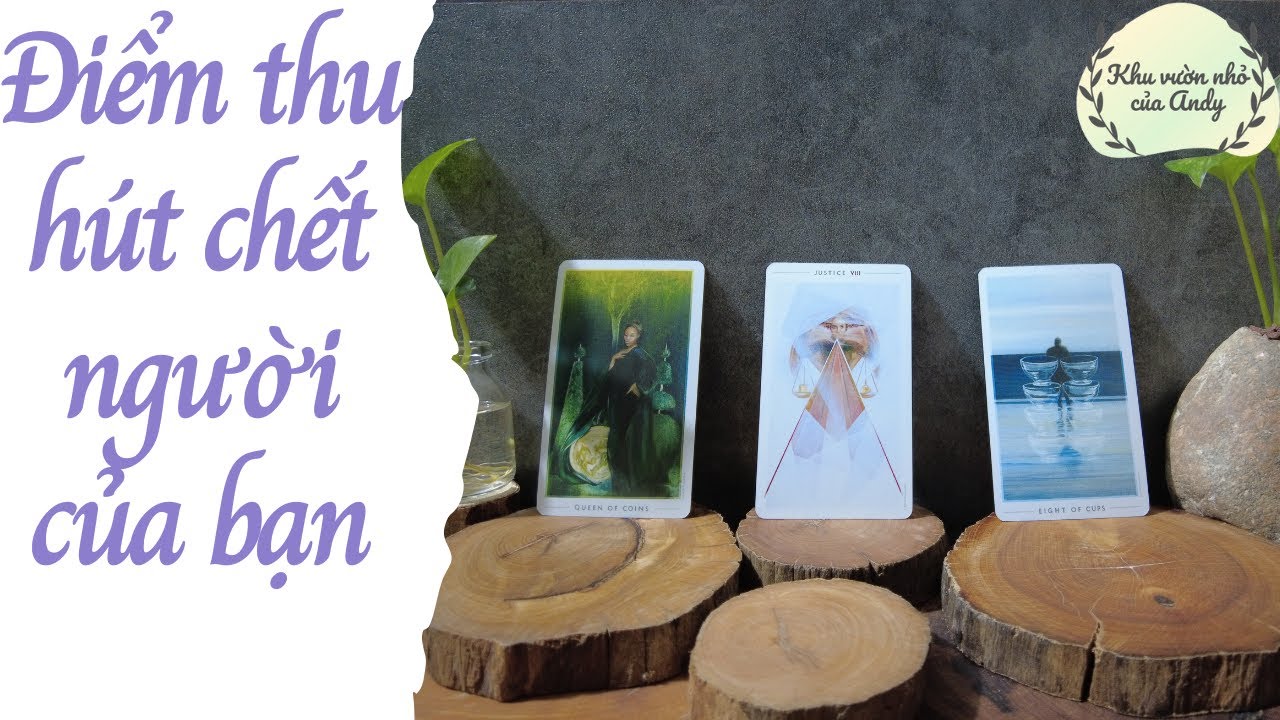 Điểm Thu Hút 