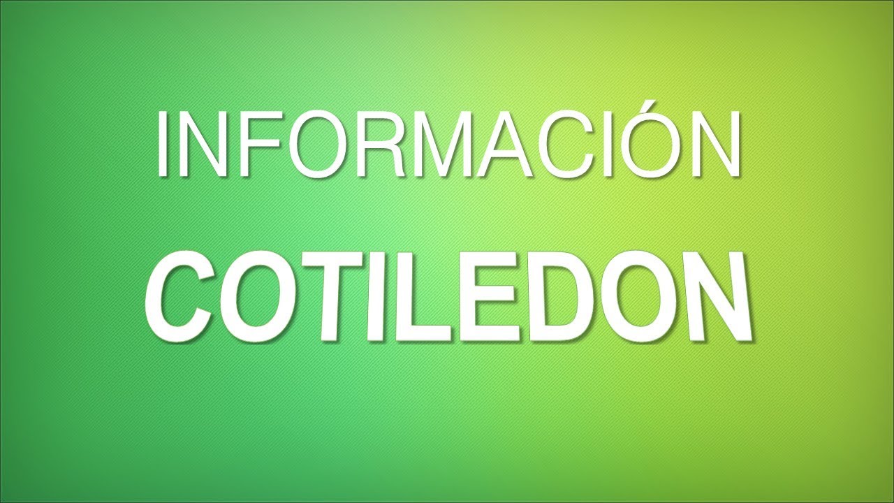 COTILED&Oacute;N