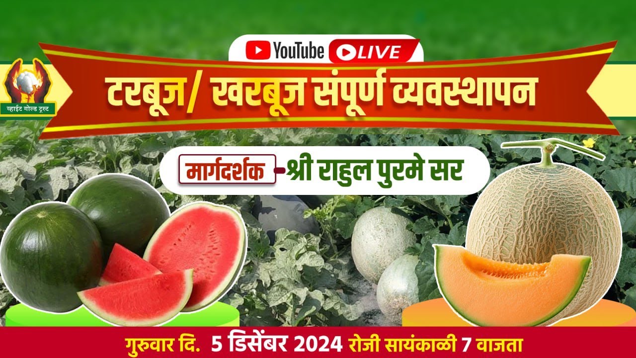 टरबूज / खरबूज संपूर्ण व्यवस्थापन