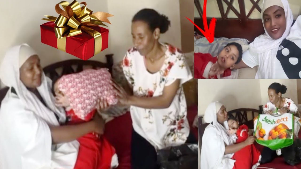 Mana Hadha Ebo Demee Saphirs Godhee Hin Rifatee Osoon Itti Nimin Demee Ebuu Yeroo Jalqabaf Arge woww