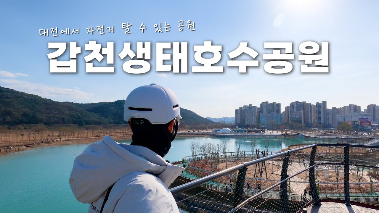 자전거 탈 수 있는 대전 갑천생태호수공원 다녀왔어요 🚴 자전거여행, 도안 억새숲, 갑천누리길