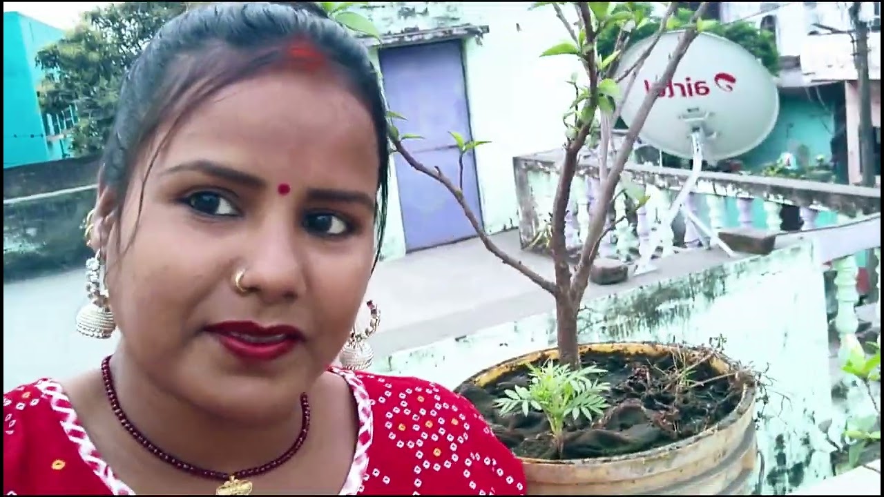 Hamare chhat mein phool 🌺🌺🌺🌺🌺🌺