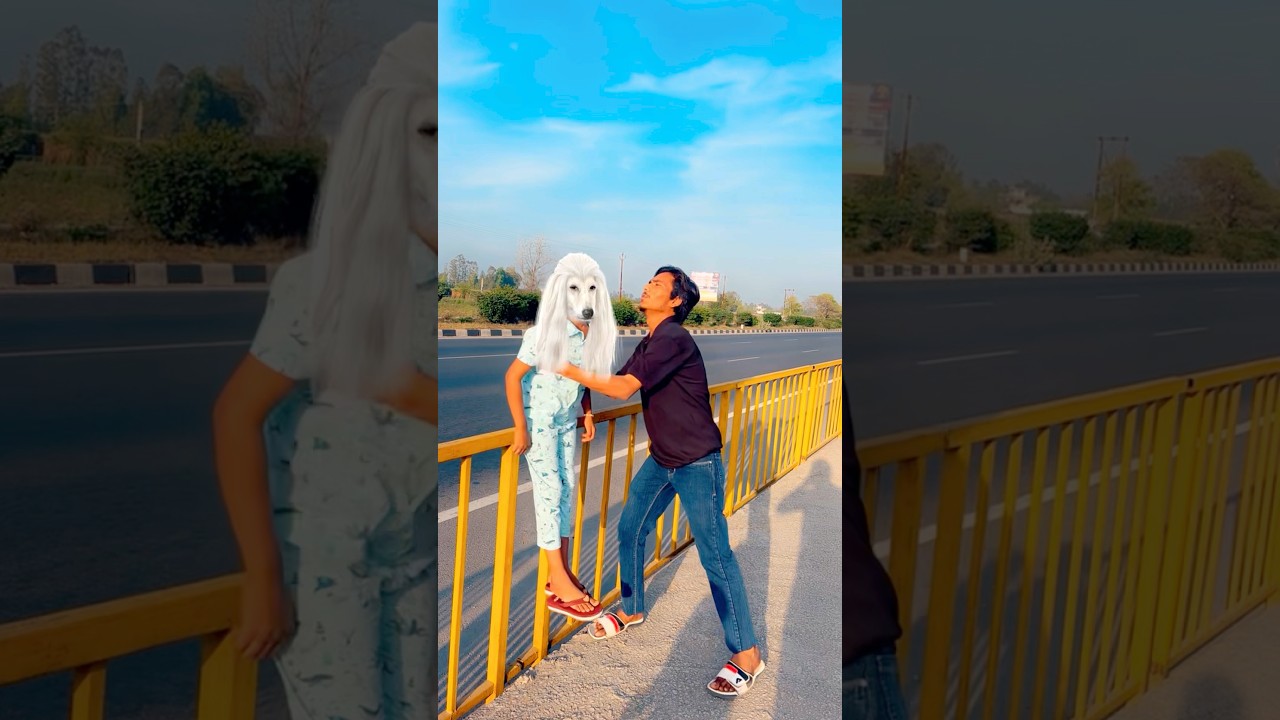Dog 🐕 bahut bhari hai 🤣#comedy #funny #shortsfeed #youtubeshorts