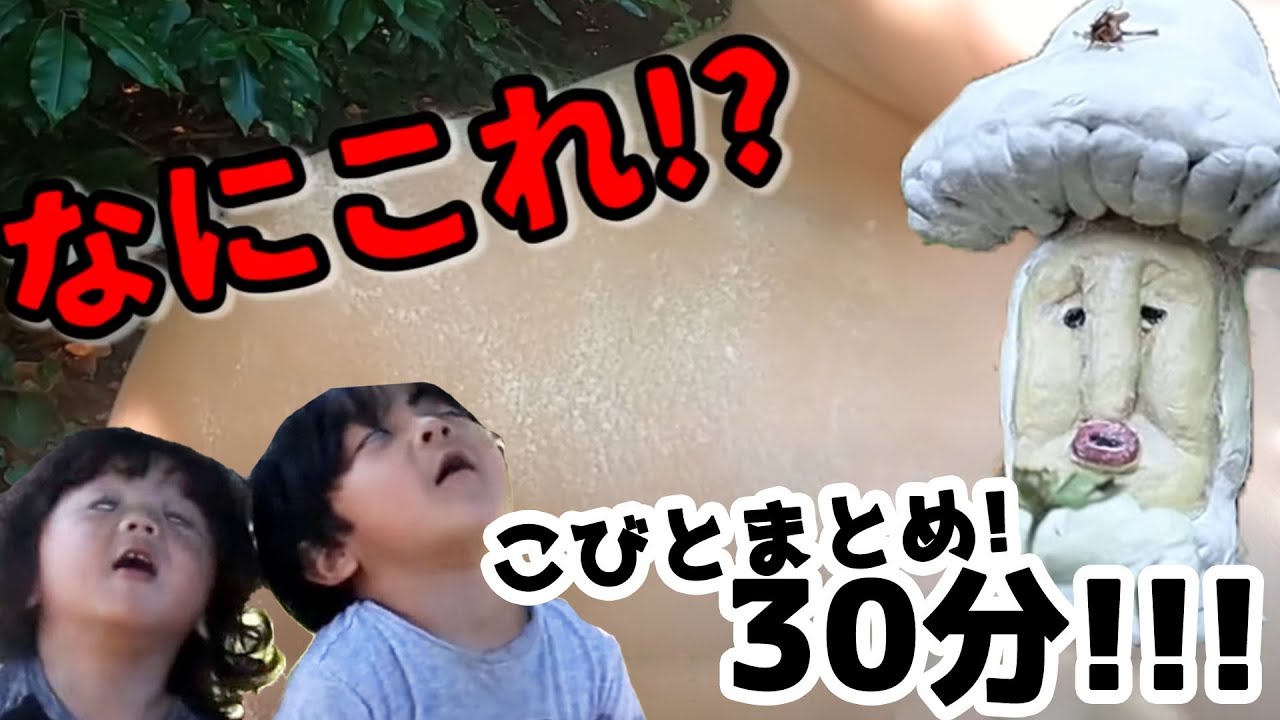 【こびとづかん】30分!! 危険なこびとから、楽しいこびとまで!!