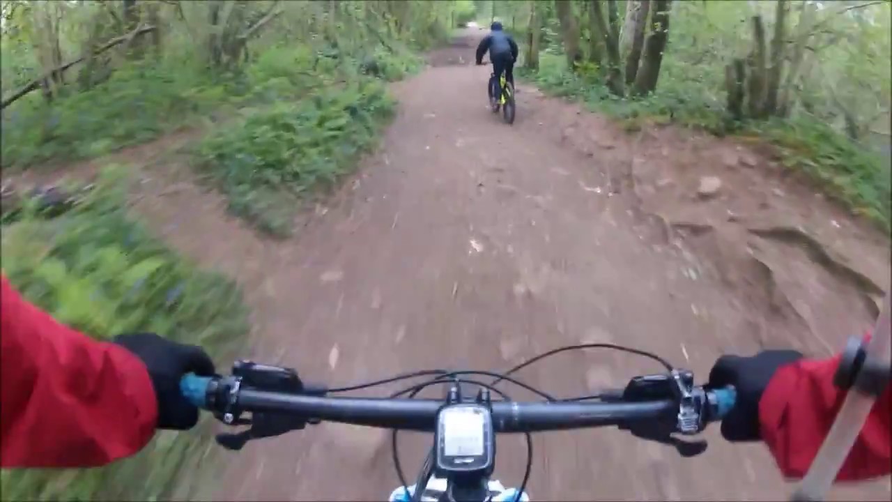 Dusty MTB Trails at Fforest Fawr, Castell Coch, Cardiff, Wales, UK