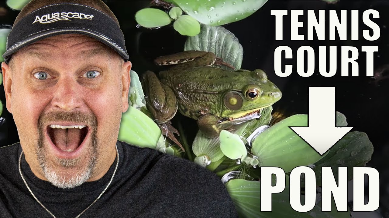 *BACKYARD POND* or Tennis Court?  Easy Choice!!
