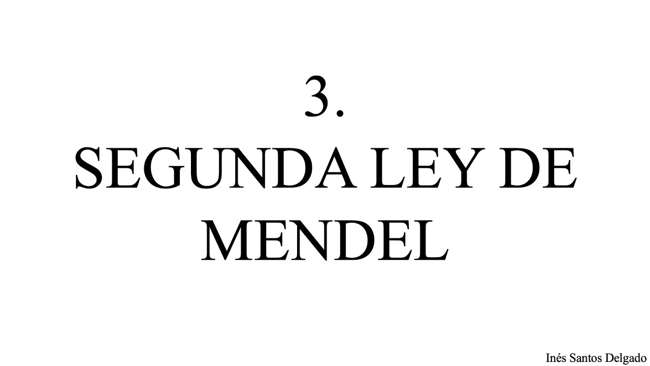 3. Segunda Ley de Mendel