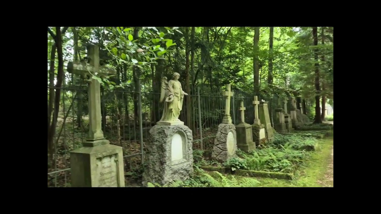 Illenauer Waldfriedhof