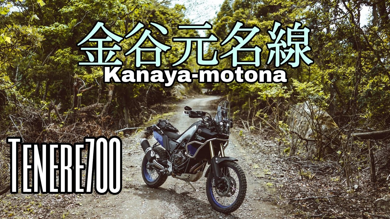 テネレ700で林道金谷元名線　Tenere700 on Forest Road