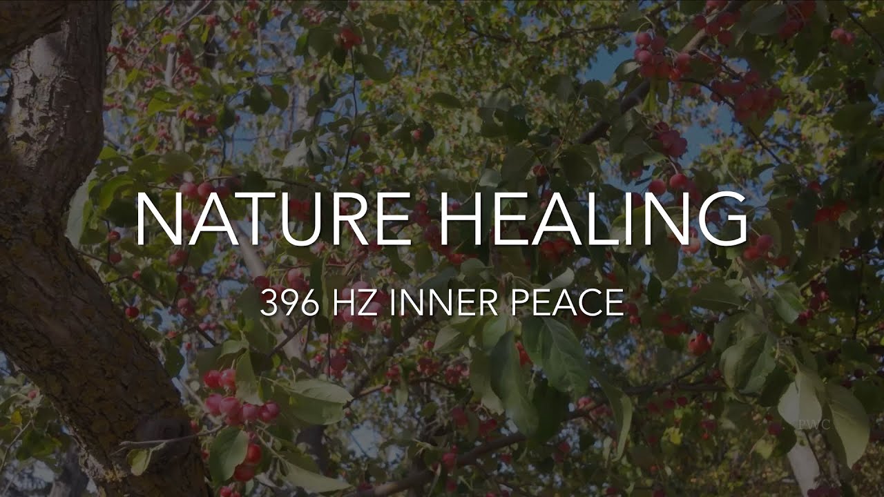 🇨🇦 ASMR 🎧 Nature Healing | 396 Hz Music Birdsong Stress Release & Inner Peace | Fall Woodland 🍁 