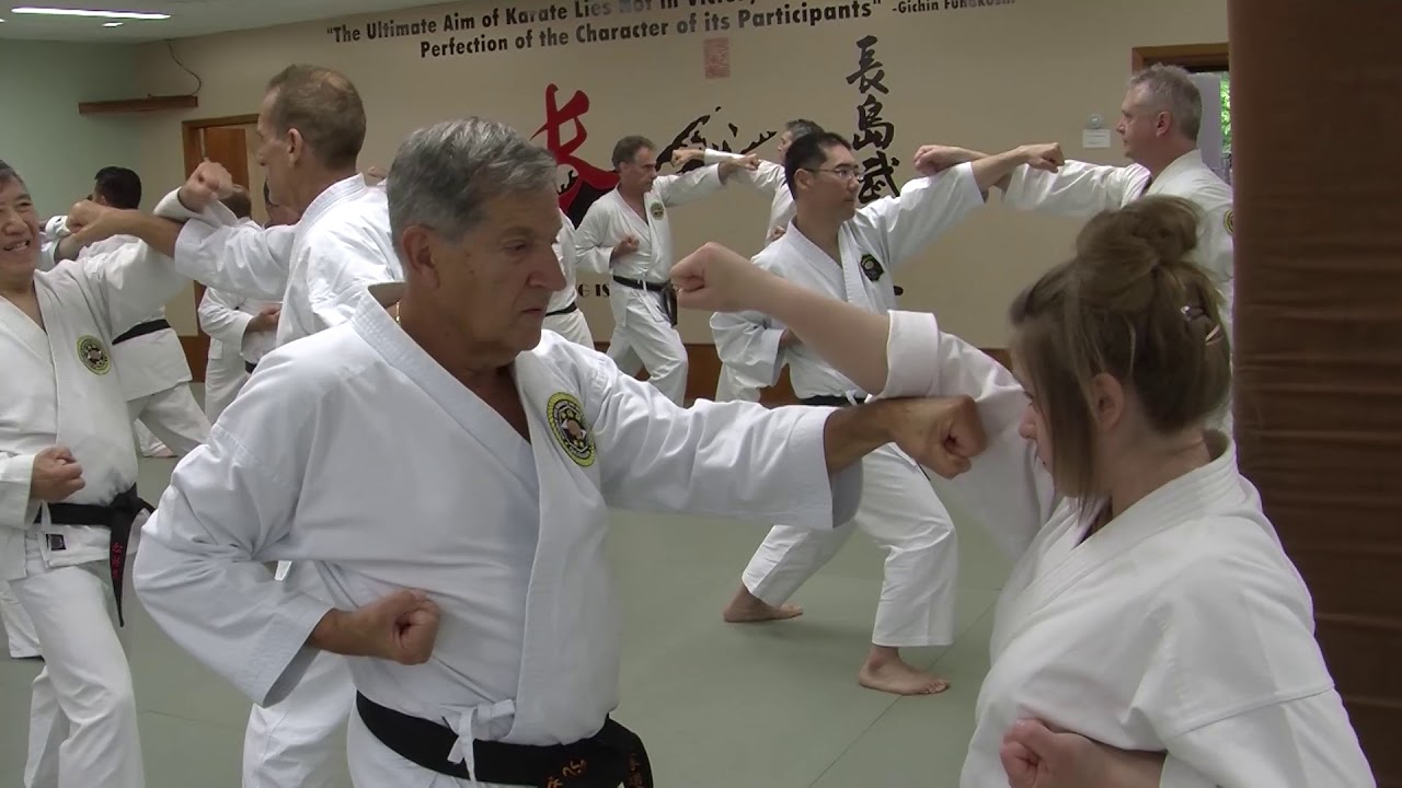 Shorin Ryu Karate Do International Okinawan Karate Weekend - Day 3