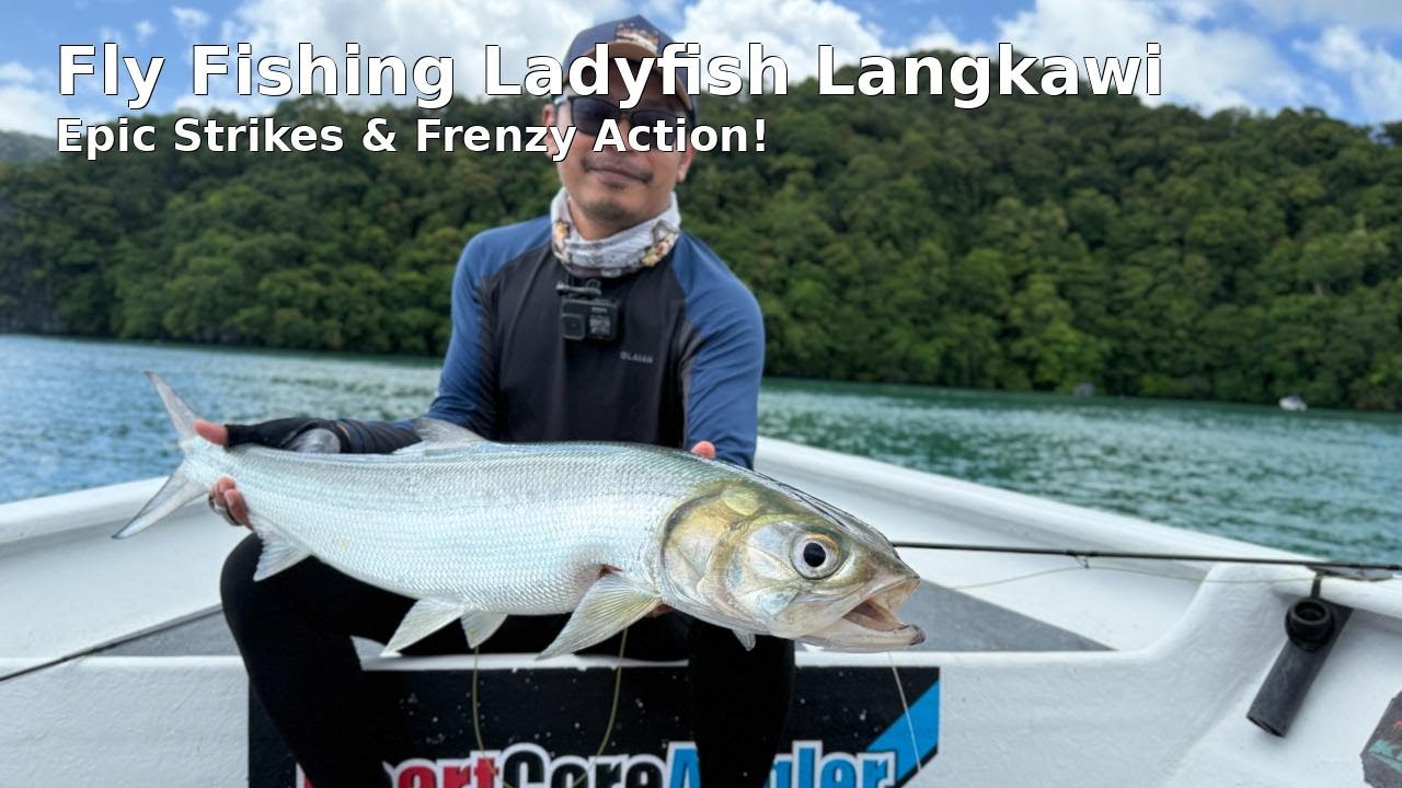 LADYFISH LANGKAWI 2025 ON FLY
