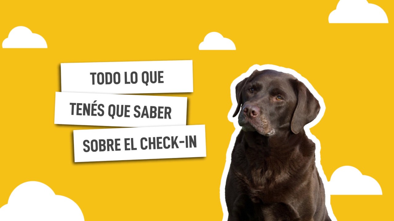 Viaj&aacute; a tu medida: Check In. Flybondi. Vuelos baratos, vuelos low cost, pasajes en avi&oacute;n.