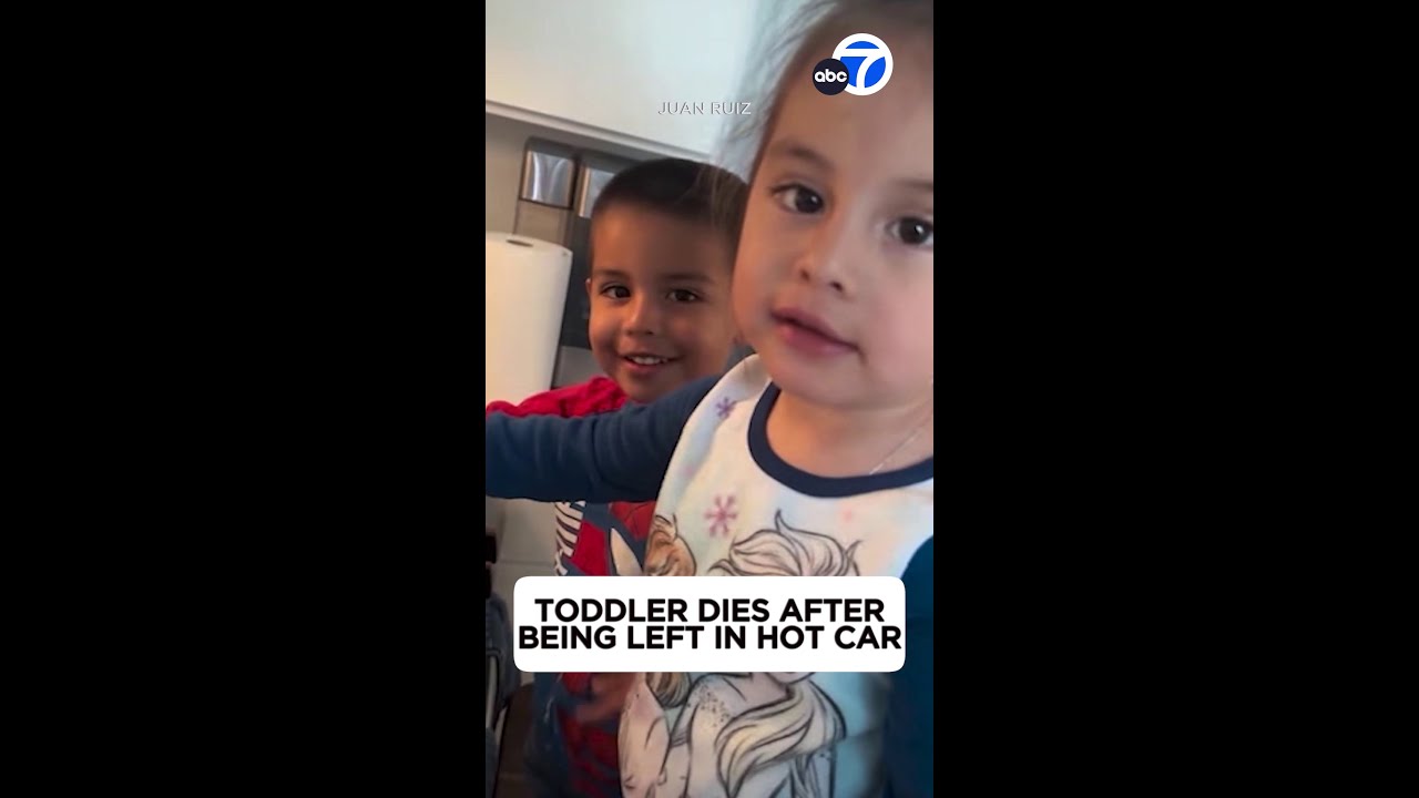 Toddler dies after being left in a hot car