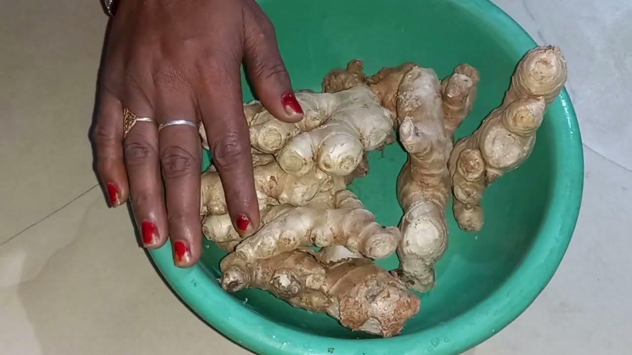 अदरक से सोंठ बनाने की विधि | adrak se sonth kaise banaye | सोंठ कैसे बनता है/अदरक से सोंठ कैसे बनाएं