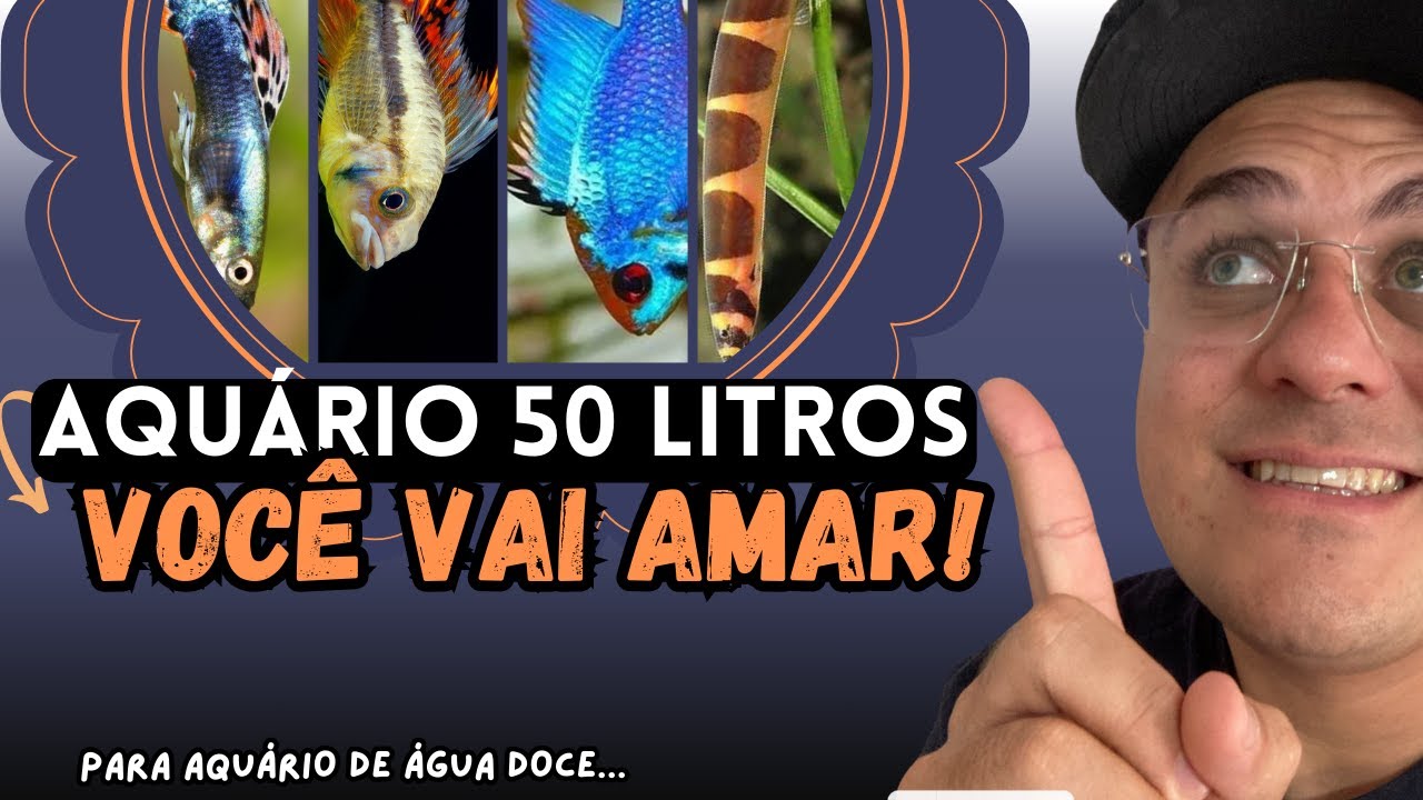 OS MELHORES PEIXES PARA AQUÁRIO DE 50 LITROS: ESCOLHA CERTA!