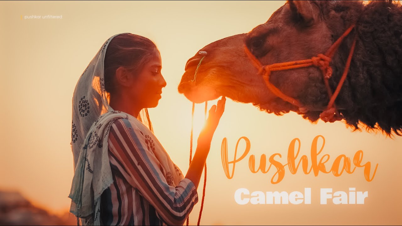 Pushkar Camel Fair 🐪 | Unfiltered Vlog of Rajasthan&rsquo;s Biggest Cultural Festival