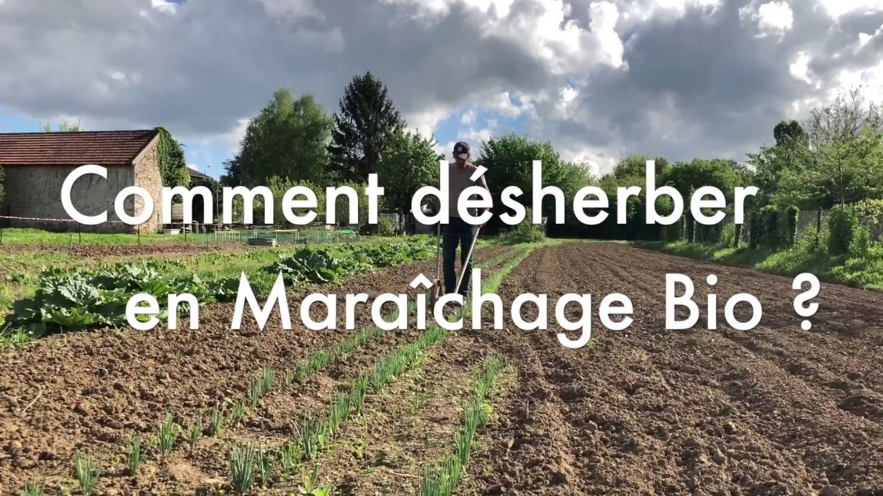 Comment D&eacute;sherber en Mara&icirc;chage BIO ?