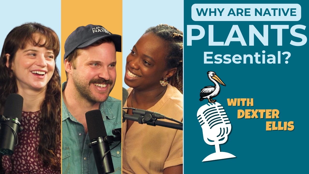 From Flooding to Pollinators: Why Native Plants Are Essential with Dexter Ellis