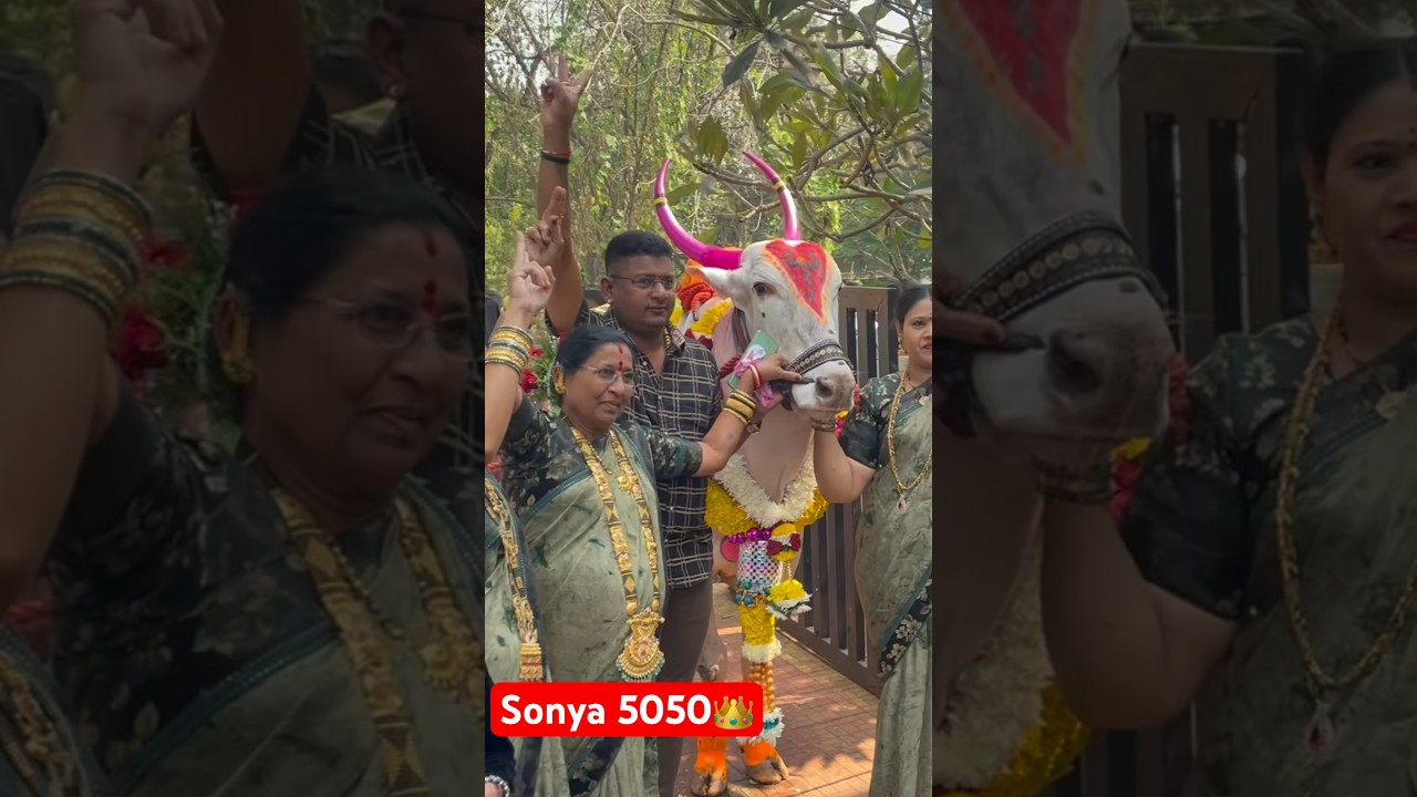 Sonya 5050 & jayesh dada😍 #song #sonya5050 #diwali #sonarpadyachasonya