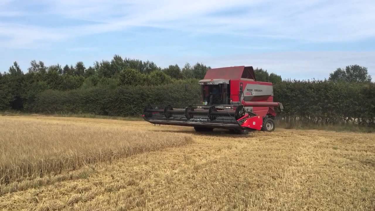 massey ferguson 7278 cerea