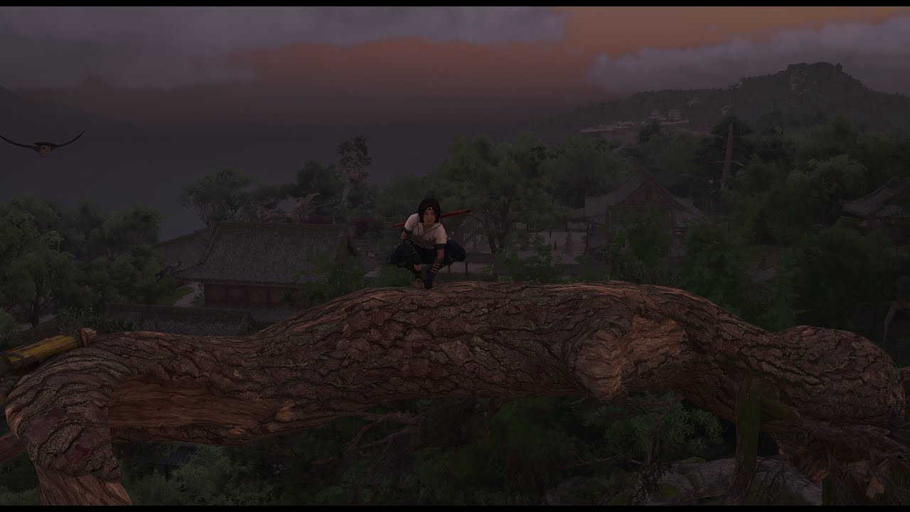 Assassin's Creed Shadows / Klauen von Awaji / 3 die Jagt nach Nowaki
