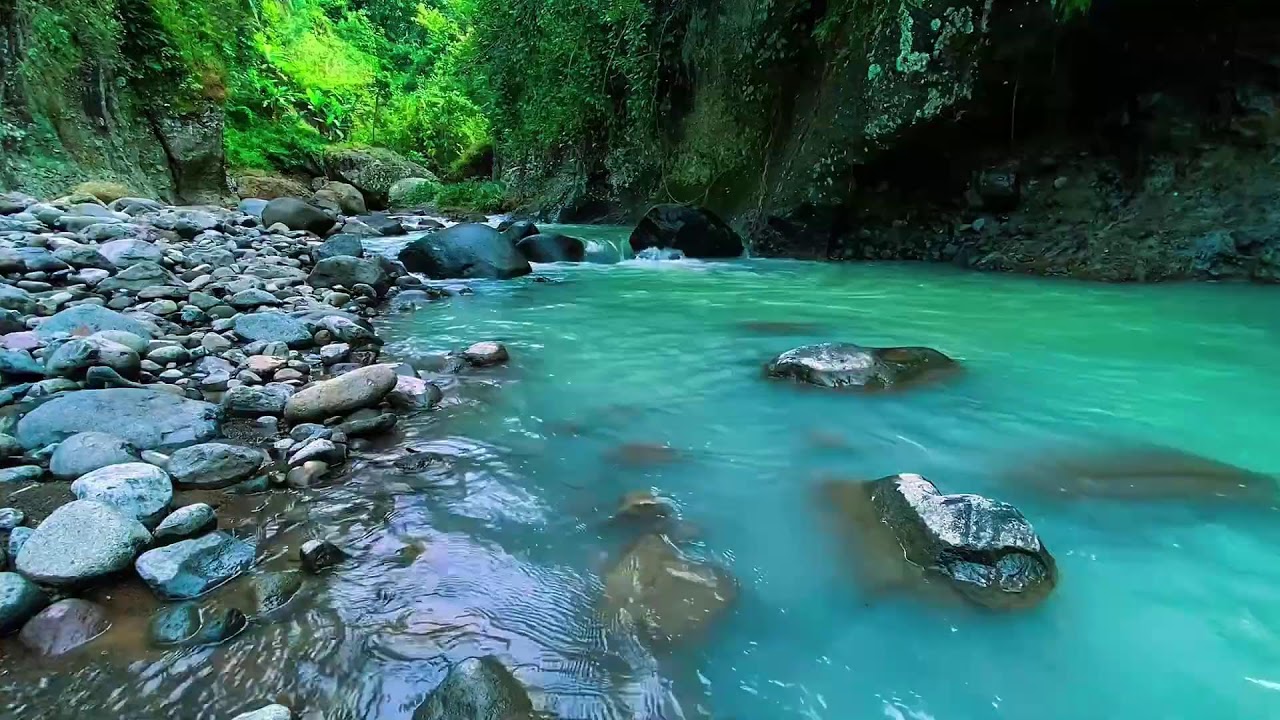 Mountain Stream Calm Night Flow, Forest River Sounds, Sleeping