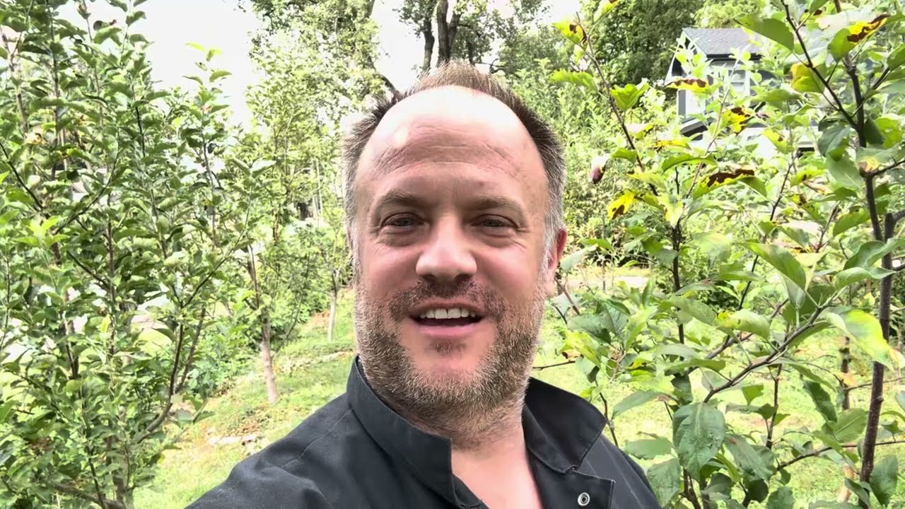 Apple Tree Rootstock Harvesting Update! Update of Scions and What I’ve Learned