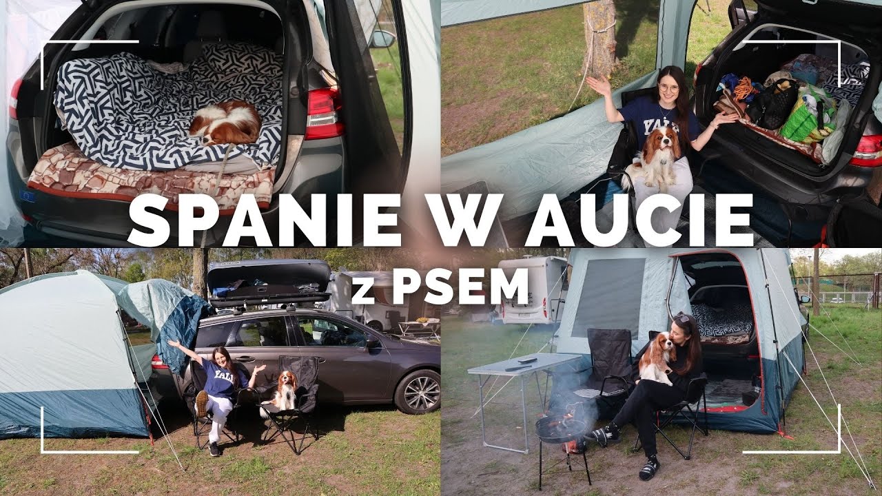 SPALIŚMY W SAMOCHODZIE Z PSEM! Jak się do tego przygotować?