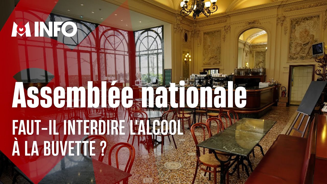 Les d&eacute;put&eacute;s bient&ocirc;t priv&eacute;s d'alcool &agrave; la buvette de l'Assembl&eacute;e nationale ?