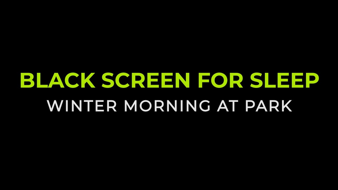 Black Screen for Sleep | Winter Morning in the Park | Stereo