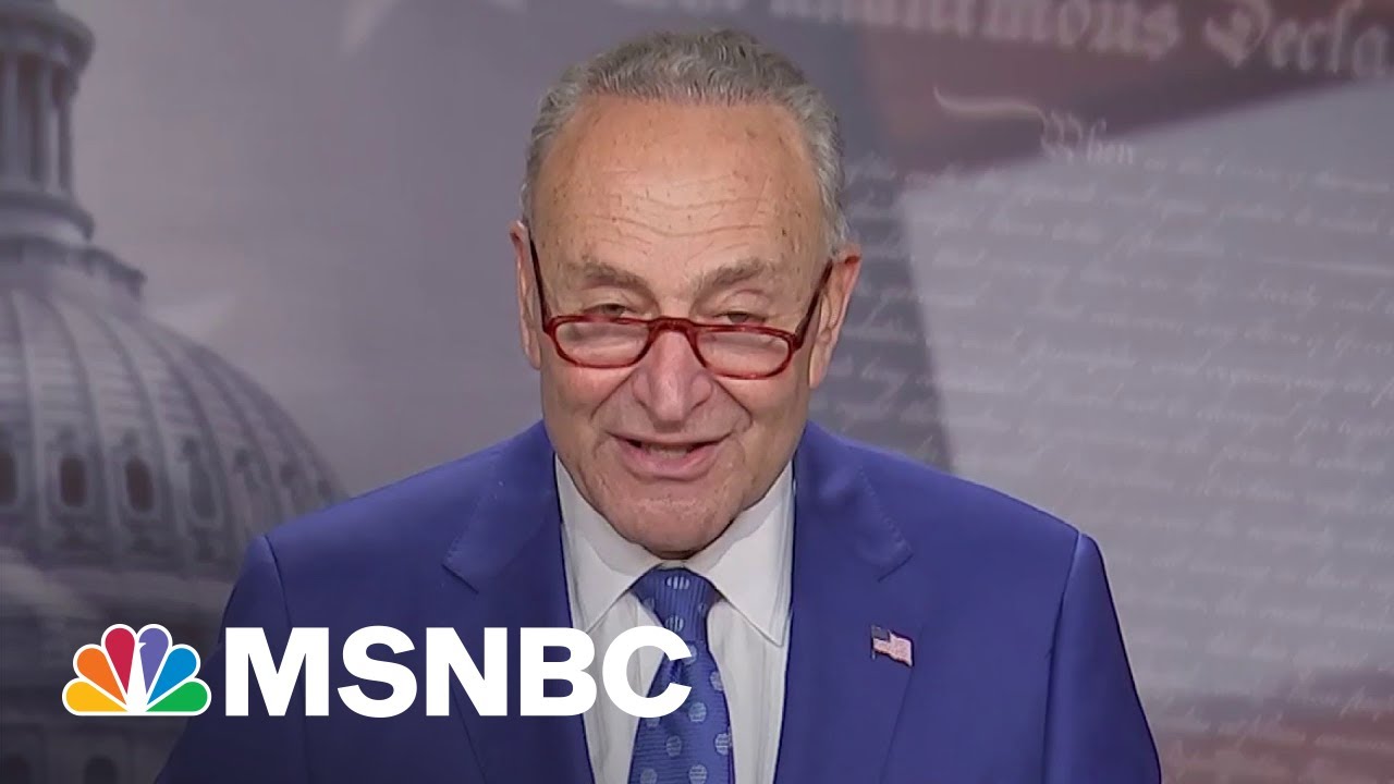 Schumer Says Inflation Reduction Act Passed ‘Without Single Vote To Spare’
