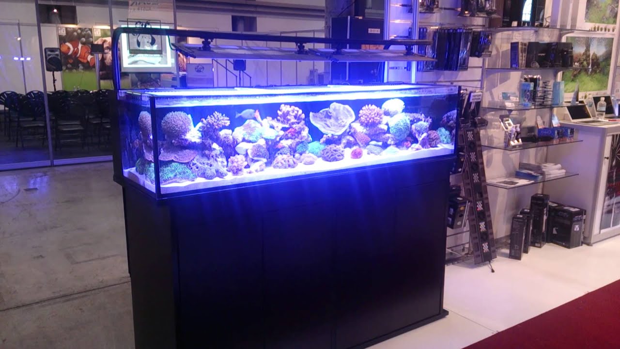 New inivatative marine Shallow reef tank