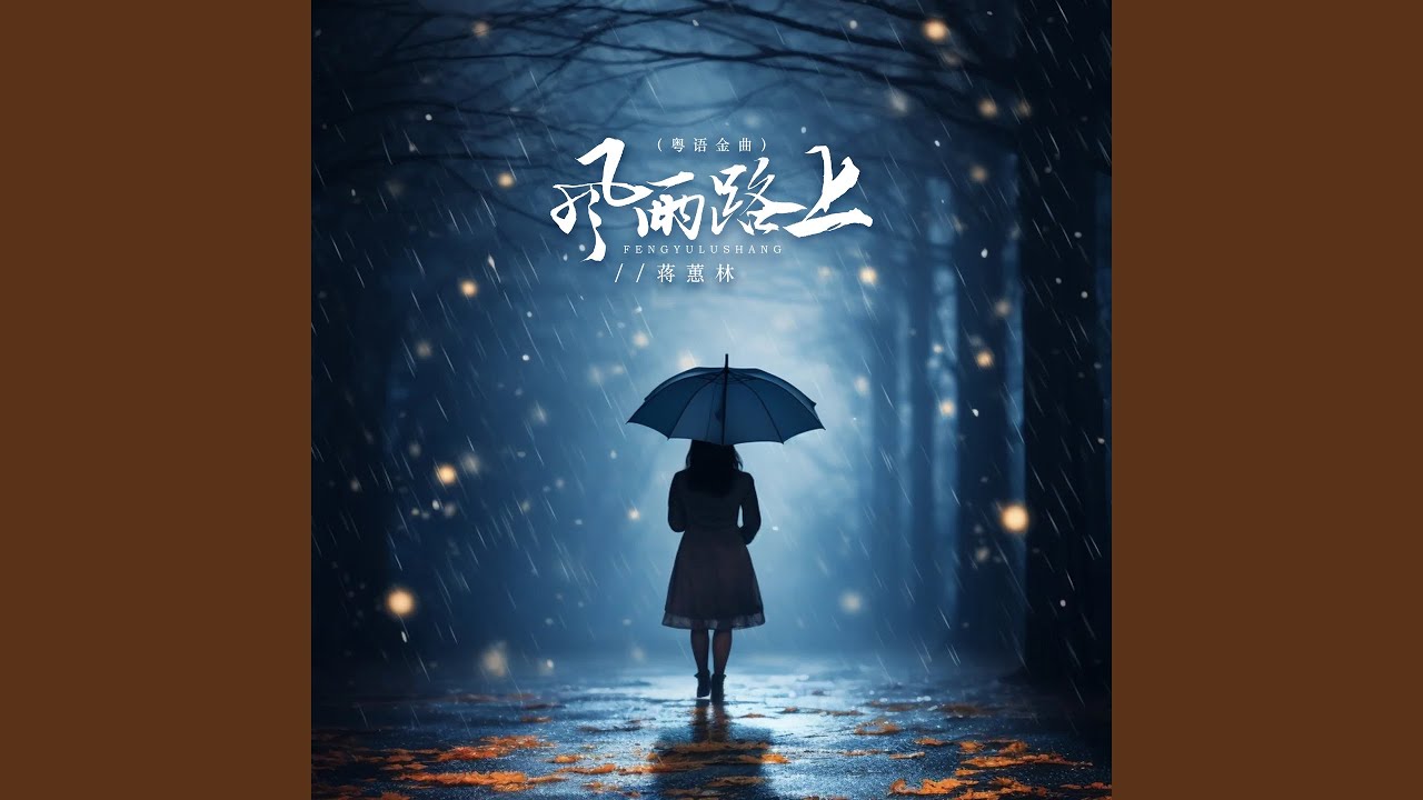 风雨路上 (DJ京仔版)