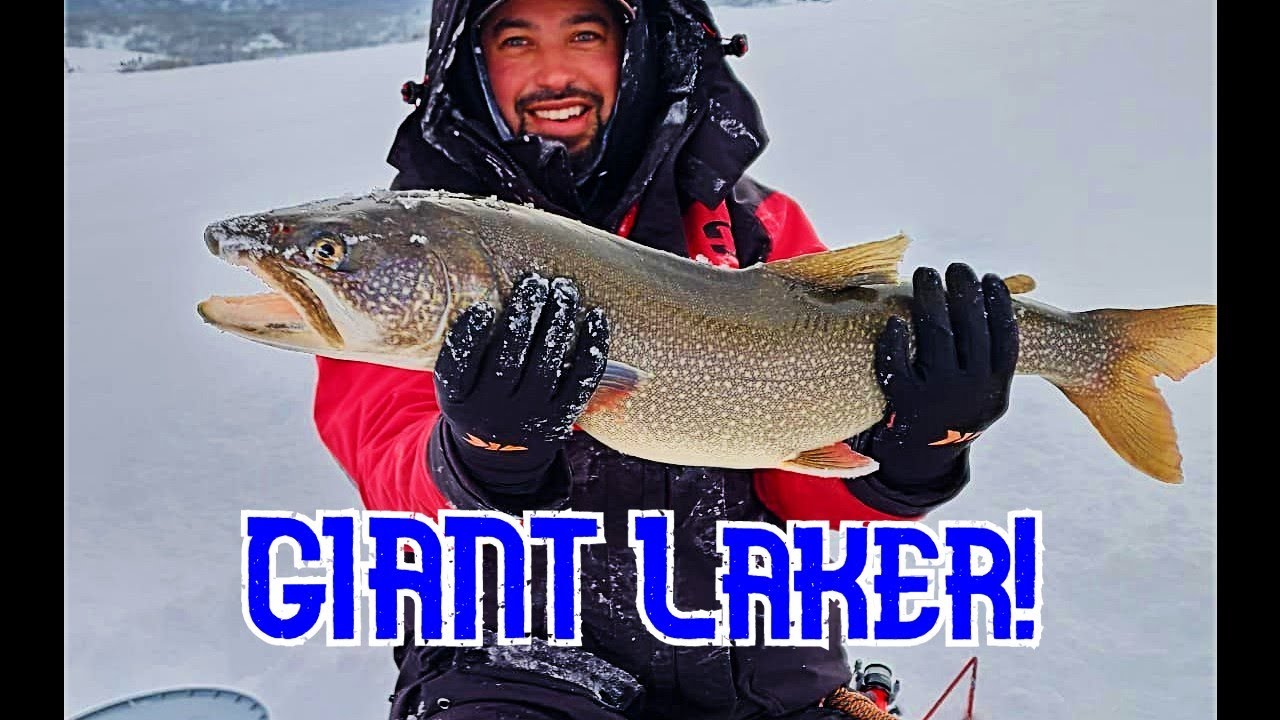 Buddy Catches GIANT Lake Trout On Granby!